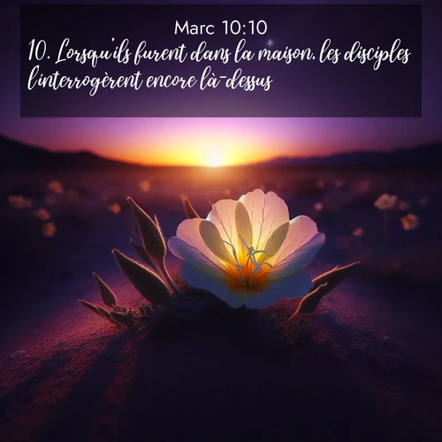 Segond21 Évangile selon Marc  ; image nature: image avec le verset biblique :Lorsqu&#039;ils furent dans la maison, les disciples l&#039;interrogèrent encore là-dessus. ;  ; 10:10