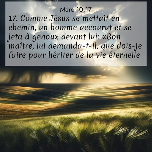 Segond21 Évangile selon Marc  ; image nature: image avec le verset biblique :Comme Jésus se mettait en chemin, un homme accourut et se jeta à genoux devant lui: «Bon maître, lui demanda-t-il, que dois-je faire pour hériter de la vie éternelle?» ;  ; 10:17