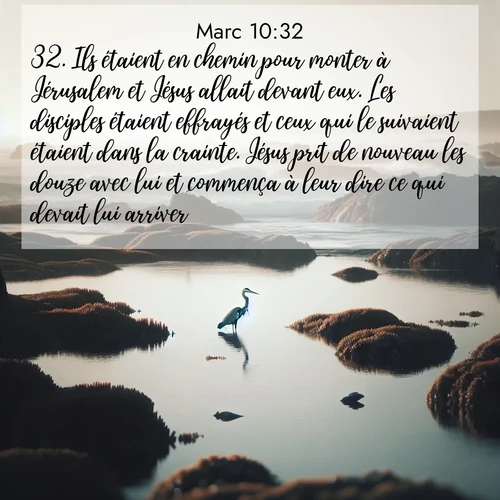 Segond21 Évangile selon Marc  ; image nature: image avec le verset biblique :Ils étaient en chemin pour monter à Jérusalem et Jésus allait devant eux. Les disciples étaient effrayés et ceux qui le suivaient étaient dans la crainte. Jésus prit de nouveau les douze avec lui et commença à leur dire ce qui devait lui arriver: ;  ; 10:32
