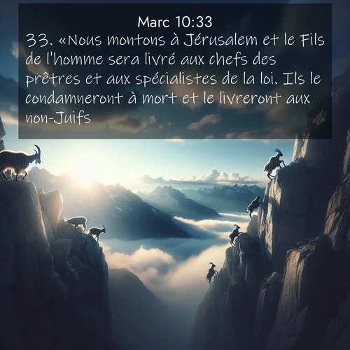 Segond21 Évangile selon Marc  ; image nature: image avec le verset biblique :«Nous montons à Jérusalem et le Fils de l&#039;homme sera livré aux chefs des prêtres et aux spécialistes de la loi. Ils le condamneront à mort et le livreront aux non-Juifs. ;  ; 10:33