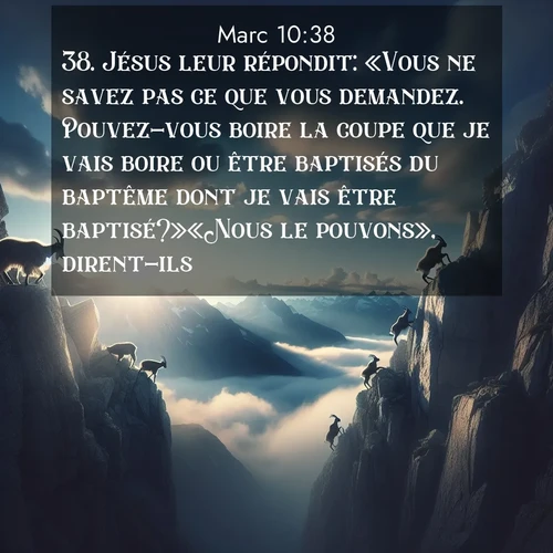 Segond21 Évangile selon Marc  ; image nature: image avec le verset biblique :Jésus leur répondit: «Vous ne savez pas ce que vous demandez. Pouvez-vous boire la coupe que je vais boire ou être baptisés du baptême dont je vais être baptisé?»«Nous le pouvons», dirent-ils. ;  ; 10:38