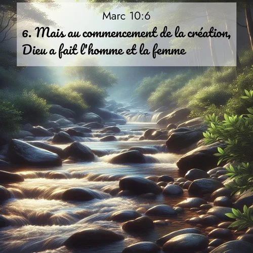 Segond21 Évangile selon Marc  ; image nature: image avec le verset biblique :Mais au commencement de la création, Dieu a fait l&#039;homme et la femme; ;  ; 10:6