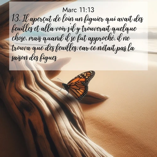 Segond21 Évangile selon Marc  ; image nature: image avec le verset biblique :Il aperçut de loin un figuier qui avait des feuilles et alla voir s&#039;il y trouverait quelque chose, mais quand il se fut approché, il ne trouva que des feuilles, car ce n&#039;était pas la saison des figues. ;  ; 11:13