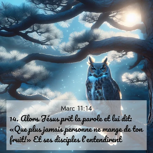 Segond21 Évangile selon Marc  ; image nature: image avec le verset biblique :Alors Jésus prit la parole et lui dit: «Que plus jamais personne ne mange de ton fruit!» Et ses disciples l&#039;entendirent. ;  ; 11:14