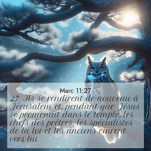 Segond21 Évangile selon Marc  ; image nature: image avec le verset biblique :Ils se rendirent de nouveau à Jérusalem et, pendant que Jésus se promenait dans le temple, les chefs des prêtres, les spécialistes de la loi et les anciens vinrent vers lui ;  ; 11:27