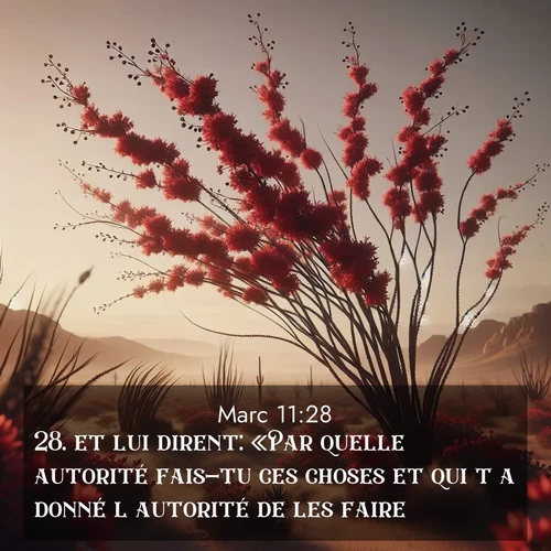Segond21 Évangile selon Marc  ; image nature: image avec le verset biblique :et lui dirent: «Par quelle autorité fais-tu ces choses et qui t&#039;a donné l&#039;autorité de les faire?» ;  ; 11:28