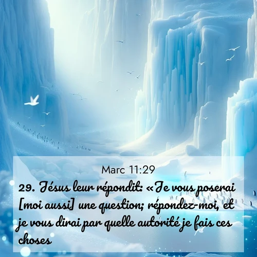 Segond21 Évangile selon Marc  ; image nature: image avec le verset biblique :Jésus leur répondit: «Je vous poserai [moi aussi] une question; répondez-moi, et je vous dirai par quelle autorité je fais ces choses. ;  ; 11:29