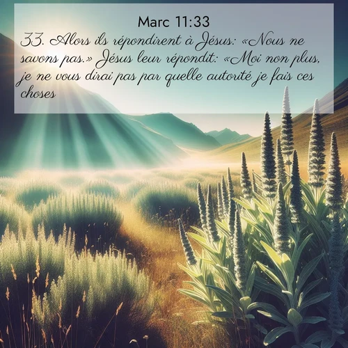 Segond21 Évangile selon Marc  ; image nature: image avec le verset biblique :Alors ils répondirent à Jésus: «Nous ne savons pas.» Jésus leur répondit: «Moi non plus, je ne vous dirai pas par quelle autorité je fais ces choses.» ;  ; 11:33