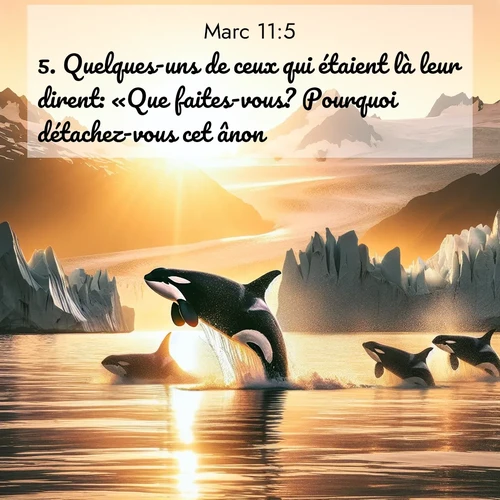Segond21 Évangile selon Marc  ; image nature: image avec le verset biblique :Quelques-uns de ceux qui étaient là leur dirent: «Que faites-vous? Pourquoi détachez-vous cet ânon?» ;  ; 11:5
