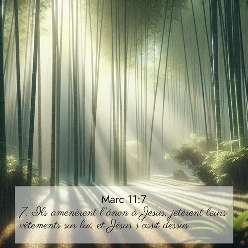 Segond21 Évangile selon Marc  ; image nature: image avec le verset biblique :Ils amenèrent l&#039;ânon à Jésus, jetèrent leurs vêtements sur lui, et Jésus s&#039;assit dessus. ;  ; 11:7