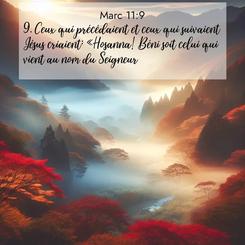 Segond21 Évangile selon Marc  ; image nature: image avec le verset biblique :Ceux qui précédaient et ceux qui suivaient Jésus criaient: «Hosanna! Béni soit celui qui vient au nom du Seigneur! ;  ; 11:9