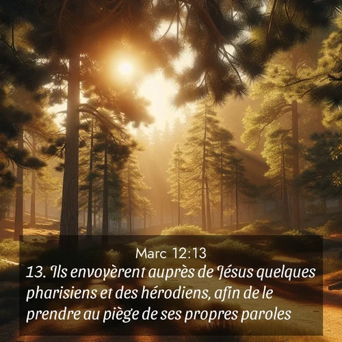 Segond21 Évangile selon Marc  ; image nature: image avec le verset biblique :Ils envoyèrent auprès de Jésus quelques pharisiens et des hérodiens, afin de le prendre au piège de ses propres paroles. ;  ; 12:13