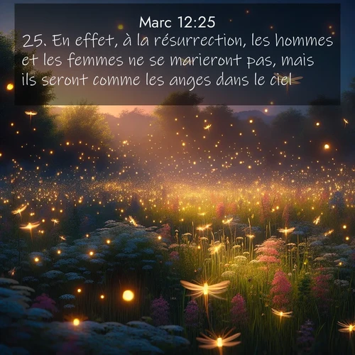 Segond21 Évangile selon Marc  ; image nature: image avec le verset biblique :En effet, à la résurrection, les hommes et les femmes ne se marieront pas, mais ils seront comme les anges dans le ciel. ;  ; 12:25