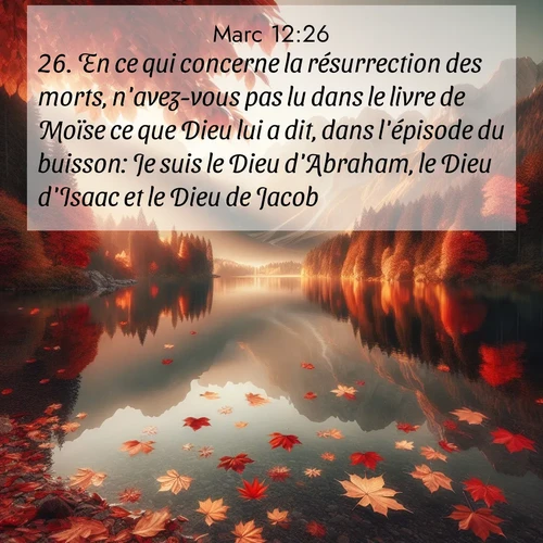 Segond21 Évangile selon Marc  ; image nature: image avec le verset biblique :En ce qui concerne la résurrection des morts, n&#039;avez-vous pas lu dans le livre de Moïse ce que Dieu lui a dit, dans l&#039;épisode du buisson: Je suis le Dieu d&#039;Abraham, le Dieu d&#039;Isaac et le Dieu de Jacob ? ;  ; 12:26