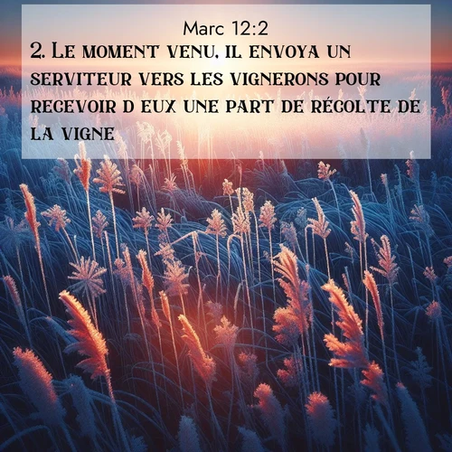Segond21 Évangile selon Marc  ; image nature: image avec le verset biblique :Le moment venu, il envoya un serviteur vers les vignerons pour recevoir d&#039;eux une part de récolte de la vigne. ;  ; 12:2