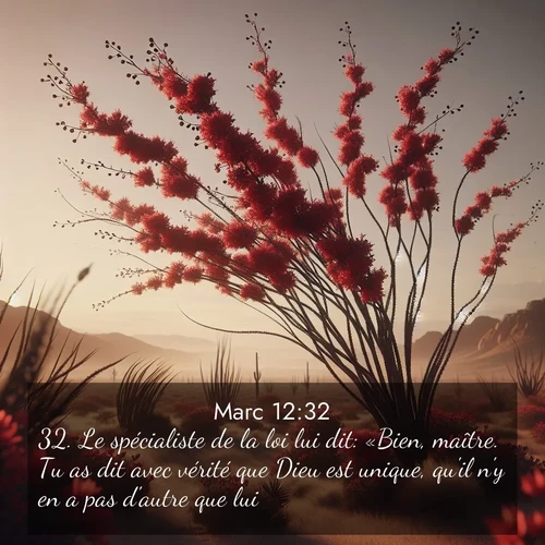 Segond21 Évangile selon Marc  ; image nature: image avec le verset biblique :Le spécialiste de la loi lui dit: «Bien, maître. Tu as dit avec vérité que Dieu est unique, qu&#039;il n&#039;y en a pas d&#039;autre que lui ;  ; 12:32