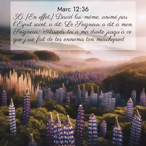 Segond21 Évangile selon Marc  ; image nature: image avec le verset biblique :[En effet,] David lui-même, animé par l&#039;Esprit saint, a dit: Le Seigneur a dit à mon Seigneur: &#039;Assieds-toi à ma droite jusqu&#039;à ce que j&#039;aie fait de tes ennemis ton marchepied.&#039; ;  ; 12:36