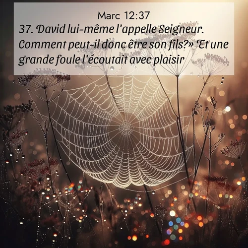 Segond21 Évangile selon Marc  ; image nature: image avec le verset biblique :David lui-même l&#039;appelle Seigneur. Comment peut-il donc être son fils?» Et une grande foule l&#039;écoutait avec plaisir. ;  ; 12:37
