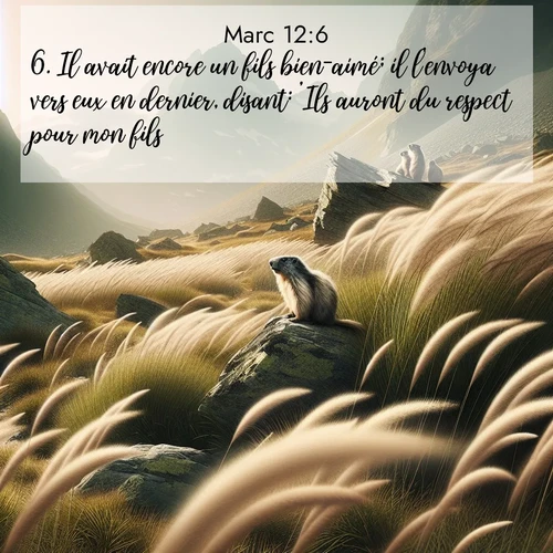 Segond21 Évangile selon Marc  ; image nature: image avec le verset biblique :Il avait encore un fils bien-aimé; il l&#039;envoya vers eux en dernier, disant: &#039;Ils auront du respect pour mon fils.&#039; ;  ; 12:6
