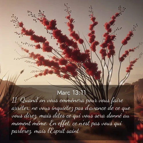 Segond21 Évangile selon Marc  ; image nature: image avec le verset biblique :Quand on vous emmènera pour vous faire arrêter, ne vous inquiétez pas d&#039;avance de ce que vous direz, mais dites ce qui vous sera donné au moment même. En effet, ce n&#039;est pas vous qui parlerez, mais l&#039;Esprit saint. ;  ; 13:11