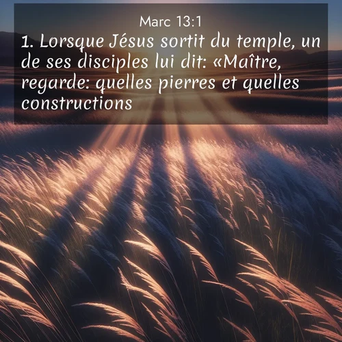 Segond21 Évangile selon Marc  ; image nature: image avec le verset biblique :Lorsque Jésus sortit du temple, un de ses disciples lui dit: «Maître, regarde: quelles pierres et quelles constructions!» ;  ; 13:1