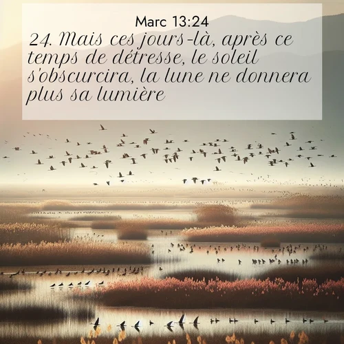 Segond21 Évangile selon Marc  ; image nature: image avec le verset biblique :Mais ces jours-là, après ce temps de détresse, le soleil s&#039;obscurcira, la lune ne donnera plus sa lumière, ;  ; 13:24