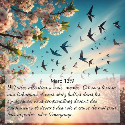 Segond21 Évangile selon Marc  ; image nature: image avec le verset biblique :Faites attention à vous-mêmes. On vous livrera aux tribunaux et vous serez battus dans les synagogues; vous comparaîtrez devant des gouverneurs et devant des rois à cause de moi pour leur apporter votre témoignage. ;  ; 13:9