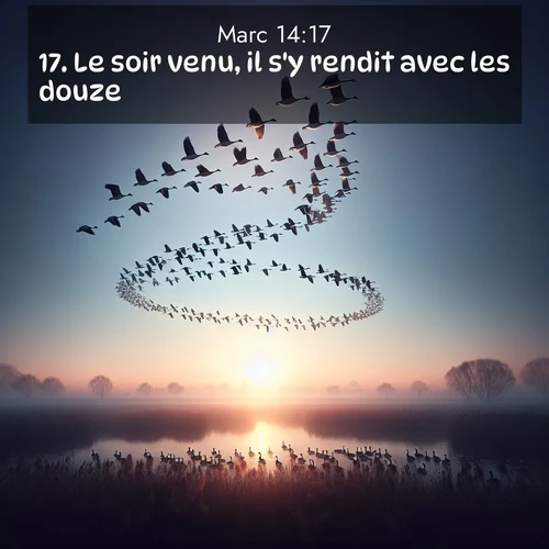 Segond21 Évangile selon Marc  ; image nature: image avec le verset biblique :Le soir venu, il s&#039;y rendit avec les douze. ;  ; 14:17
