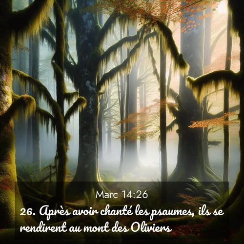 Segond21 Évangile selon Marc  ; image nature: image avec le verset biblique :Après avoir chanté les psaumes, ils se rendirent au mont des Oliviers. ;  ; 14:26