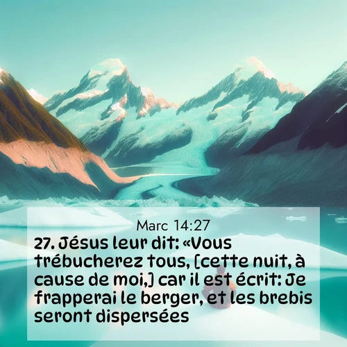 Segond21 Évangile selon Marc  ; image nature: image avec le verset biblique :Jésus leur dit: «Vous trébucherez tous, [cette nuit, à cause de moi,] car il est écrit: Je frapperai le berger, et les brebis seront dispersées. ;  ; 14:27