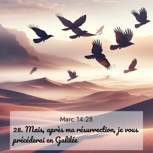 Segond21 Évangile selon Marc  ; image nature: image avec le verset biblique :Mais, après ma résurrection, je vous précéderai en Galilée.» ;  ; 14:28