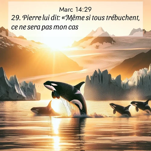 Segond21 Évangile selon Marc  ; image nature: image avec le verset biblique :Pierre lui dit: «Même si tous trébuchent, ce ne sera pas mon cas.» ;  ; 14:29