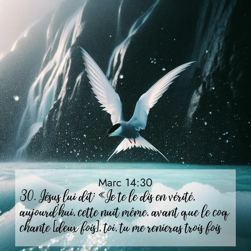 Segond21 Évangile selon Marc  ; image nature: image avec le verset biblique :Jésus lui dit: «Je te le dis en vérité, aujourd&#039;hui, cette nuit même, avant que le coq chante [deux fois], toi, tu me renieras trois fois.» ;  ; 14:30