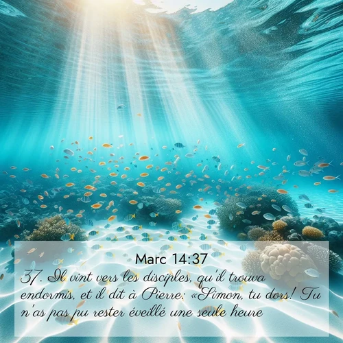 Segond21 Évangile selon Marc  ; image nature: image avec le verset biblique :Il vint vers les disciples, qu&#039;il trouva endormis, et il dit à Pierre: «Simon, tu dors! Tu n&#039;as pas pu rester éveillé une seule heure! ;  ; 14:37