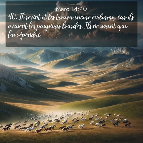 Segond21 Évangile selon Marc  ; image nature: image avec le verset biblique :Il revint et les trouva encore endormis, car ils avaient les paupières lourdes. Ils ne surent que lui répondre. ;  ; 14:40