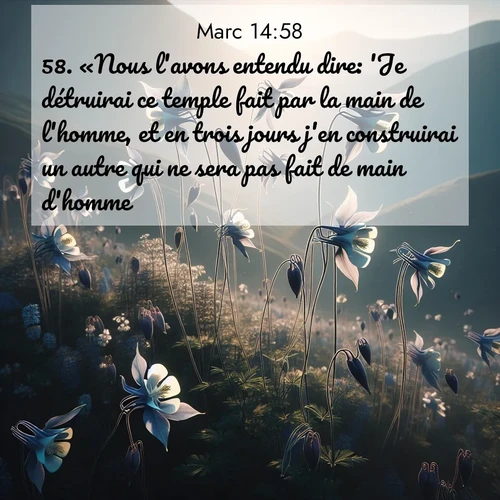 Segond21 Évangile selon Marc  ; image nature: image avec le verset biblique :«Nous l&#039;avons entendu dire: &#039;Je détruirai ce temple fait par la main de l&#039;homme, et en trois jours j&#039;en construirai un autre qui ne sera pas fait de main d&#039;homme.&#039;» ;  ; 14:58