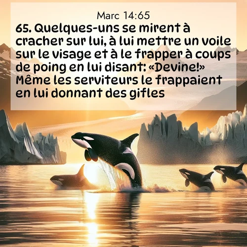 Segond21 Évangile selon Marc  ; image nature: image avec le verset biblique :Quelques-uns se mirent à cracher sur lui, à lui mettre un voile sur le visage et à le frapper à coups de poing en lui disant: «Devine!» Même les serviteurs le frappaient en lui donnant des gifles. ;  ; 14:65