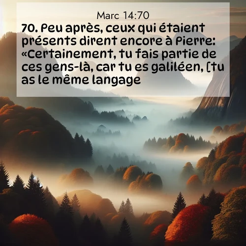Segond21 Évangile selon Marc  ; image nature: image avec le verset biblique :Peu après, ceux qui étaient présents dirent encore à Pierre: «Certainement, tu fais partie de ces gens-là, car tu es galiléen, [tu as le même langage].» ;  ; 14:70