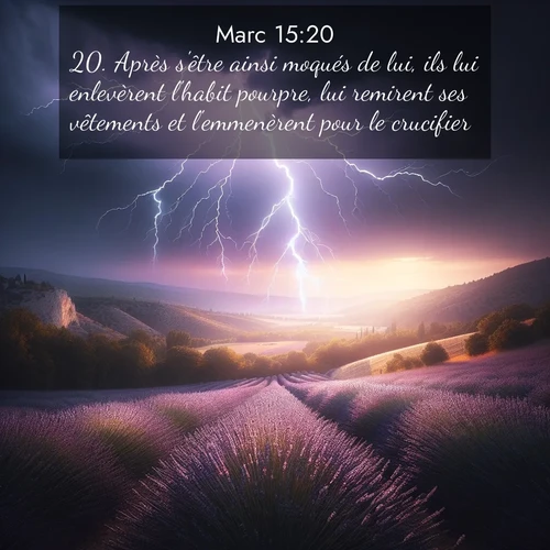 Segond21 Évangile selon Marc  ; image nature: image avec le verset biblique :Après s&#039;être ainsi moqués de lui, ils lui enlevèrent l&#039;habit pourpre, lui remirent ses vêtements et l&#039;emmenèrent pour le crucifier. ;  ; 15:20
