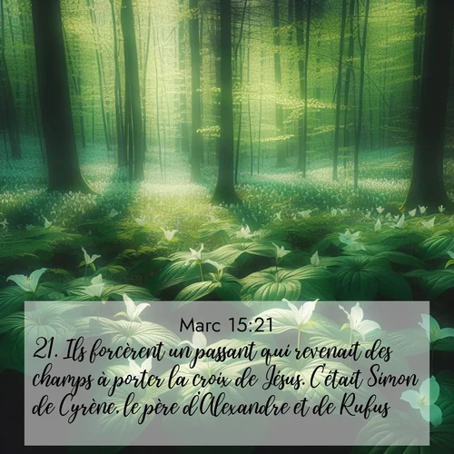 Segond21 Évangile selon Marc  ; image nature: image avec le verset biblique :Ils forcèrent un passant qui revenait des champs à porter la croix de Jésus. C&#039;était Simon de Cyrène, le père d&#039;Alexandre et de Rufus. ;  ; 15:21