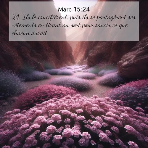 Segond21 Évangile selon Marc  ; image nature: image avec le verset biblique :Ils le crucifièrent, puis ils se partagèrent ses vêtements en tirant au sort pour savoir ce que chacun aurait. ;  ; 15:24