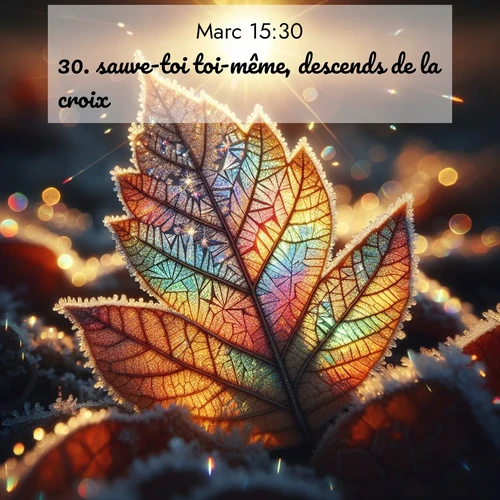 Segond21 Évangile selon Marc  ; image nature: image avec le verset biblique :sauve-toi toi-même, descends de la croix!» ;  ; 15:30