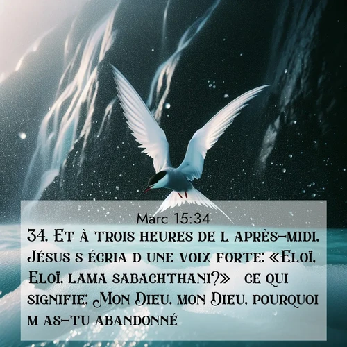 Segond21 Évangile selon Marc  ; image nature: image avec le verset biblique :Et à trois heures de l&#039;après-midi, Jésus s&#039;écria d&#039;une voix forte: «Eloï, Eloï, lama sabachthani?»  ce qui signifie: Mon Dieu, mon Dieu, pourquoi m&#039;as-tu abandonné? ;  ; 15:34
