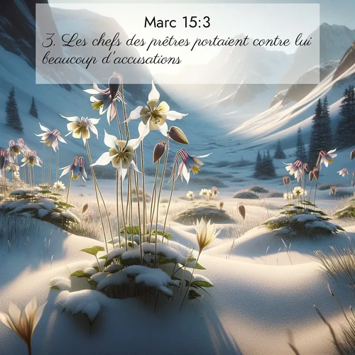 Segond21 Évangile selon Marc  ; image nature: image avec le verset biblique :Les chefs des prêtres portaient contre lui beaucoup d&#039;accusations. ;  ; 15:3