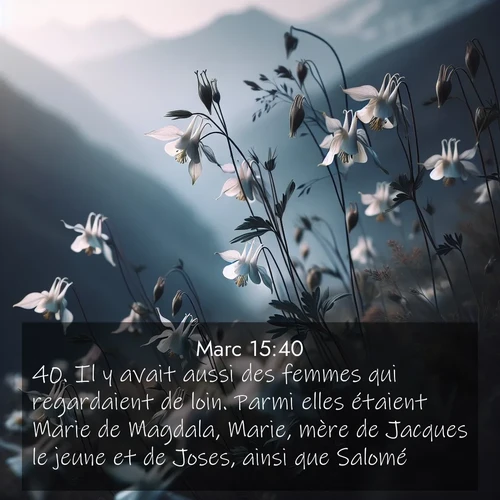 Segond21 Évangile selon Marc  ; image nature: image avec le verset biblique :Il y avait aussi des femmes qui regardaient de loin. Parmi elles étaient Marie de Magdala, Marie, mère de Jacques le jeune et de Joses, ainsi que Salomé, ;  ; 15:40
