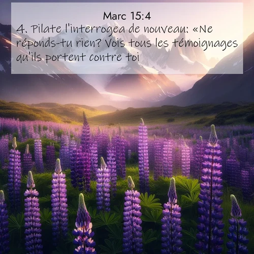 Segond21 Évangile selon Marc  ; image nature: image avec le verset biblique :Pilate l&#039;interrogea de nouveau: «Ne réponds-tu rien? Vois tous les témoignages qu&#039;ils portent contre toi.» ;  ; 15:4