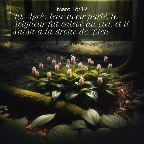 Segond21 Évangile selon Marc  ; image nature: image avec le verset biblique :Après leur avoir parlé, le Seigneur fut enlevé au ciel, et il s&#039;assit à la droite de Dieu. ;  ; 16:19