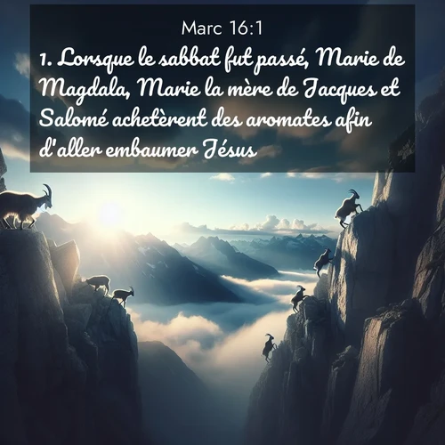 Segond21 Évangile selon Marc  ; image nature: image avec le verset biblique :Lorsque le sabbat fut passé, Marie de Magdala, Marie la mère de Jacques et Salomé achetèrent des aromates afin d&#039;aller embaumer Jésus. ;  ; 16:1