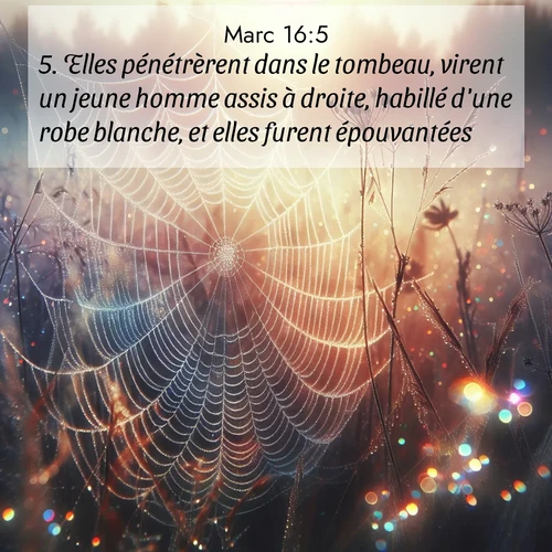 Segond21 Évangile selon Marc  ; image nature: image avec le verset biblique :Elles pénétrèrent dans le tombeau, virent un jeune homme assis à droite, habillé d&#039;une robe blanche, et elles furent épouvantées. ;  ; 16:5