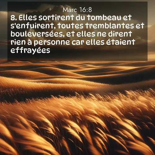 Segond21 Évangile selon Marc  ; image nature: image avec le verset biblique :Elles sortirent du tombeau et s&#039;enfuirent, toutes tremblantes et bouleversées, et elles ne dirent rien à personne car elles étaient effrayées. ;  ; 16:8